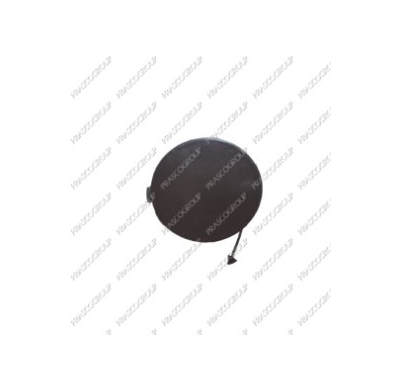 Tapagancho Delantero