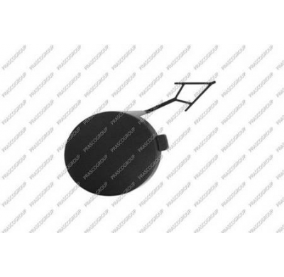 Tapagancho Delantero Imprimado Volkswagen T-Roc 2017->