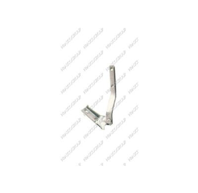 Bisagra Capo Polo Del.Dch. 94>99