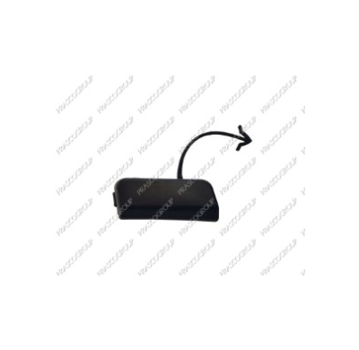 Tapagancho Delantero