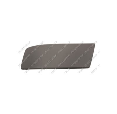 Moldura Izquierda Paragolpes Delantero-Imprimada