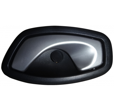 Renault Meg 08-/Clio 13-*Tirador Puerta Delantero/Trasero Izq Interior Plateado