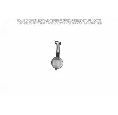 Citroen C3 02-*Tapa Gancho Remolque Paragolpes Delantero Para Pintar