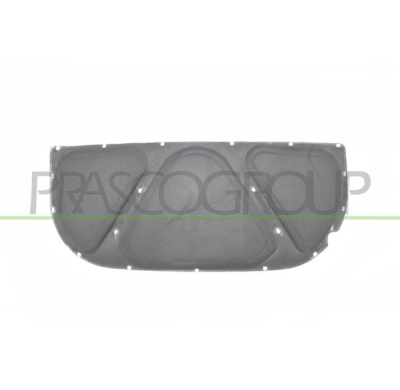 PANEL INSONORIZANTE CAPO