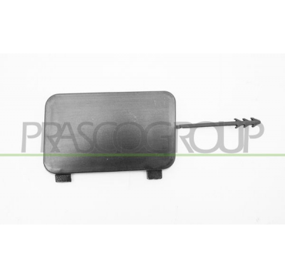 TAPAGANCHO TRASERO IZQUIERDO