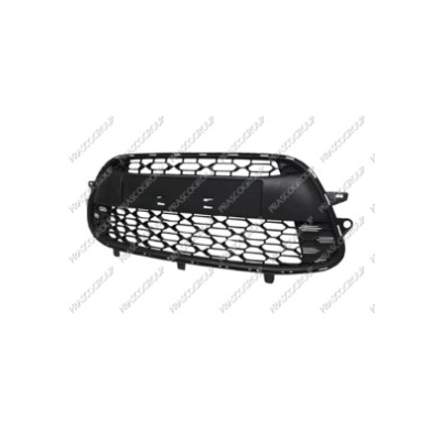 Citroen C3 10-*Rejilla Paragolpes Delanter. Central