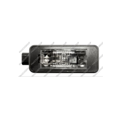 Piloto Matricula Con Bombilla