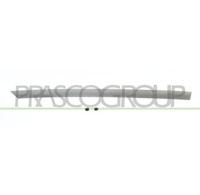 MOLDURA PUERTA TRASERA DERECHA IMPRIMADA MOD. 4 PUERTAS