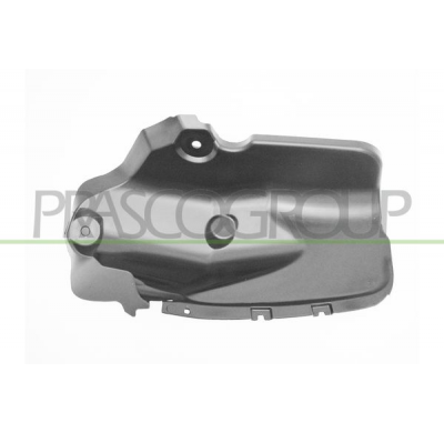 PROTECTOR PASO RUEDA TRASERO DERECHO