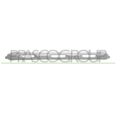 MOLDURA INFERIOR CENTRAL PARAGOLPES DELANTERO-PINTADA PLATA