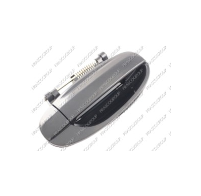 Maneta Exterior Trasera Derecha Negra/Lisa Daewoo Kalos 2002->