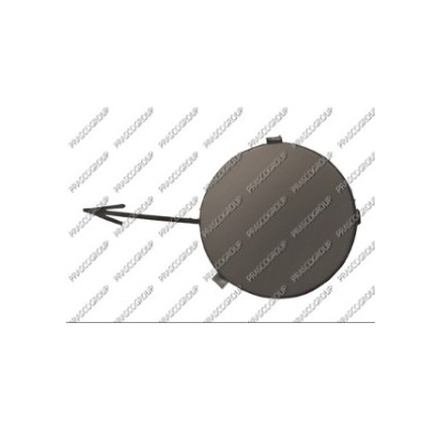 Tapagancho Delantero