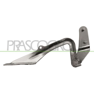 BISAGRA IZQUIERDA CAPO