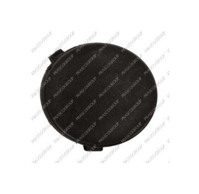 Tapagancho Delantera Imprimada Focus 07> Ford Focus 2008->