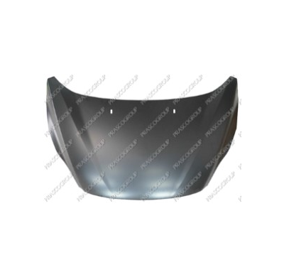 Ford C-Max 10-*Capo(Chapa)