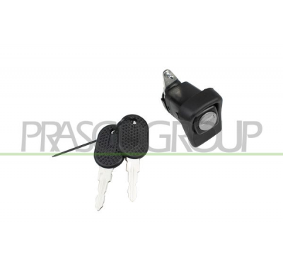 DOS LLAVES CON CERRADURA