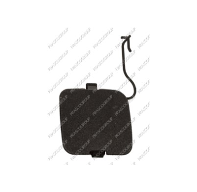 Tapagancho Delantero