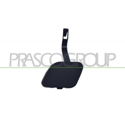 TAPAGANCHO DELANTERO