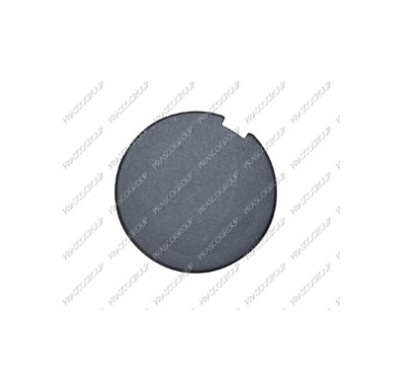 Tapagancho Delantero Imprimado Fiat Punto 2003->