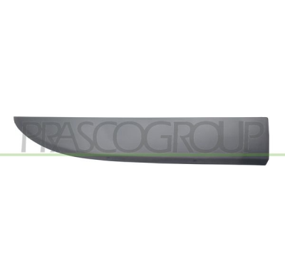 Moldura Lateral Inferior Negra/Granulada-Puerta Delantera Derecha