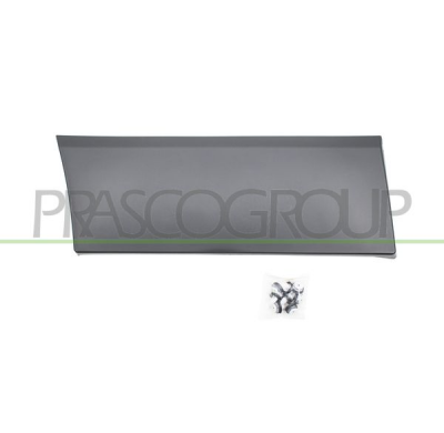 MOLDURA LATERAL INFERIOR-CON CLIPS-NEGRA/GRANULADA-ALETA TRASERA DERECHA MOD. PASO LARGO