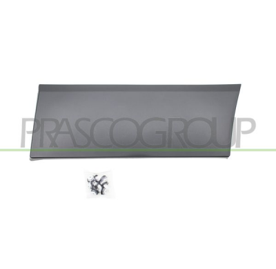 MOLDURA LATERAL INFERIOR-CON CLIPS-NEGRA/GRANULADA-ALETA TRASERA IZQUIERDA MOD. PASO LARGO