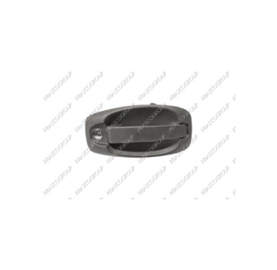 Maneta Exterior Porton Abatible-Con Agujero Llave-Negra Peugeot Bipper 2008->