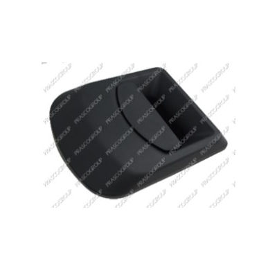 Maneta Exterior Delantera Izquierda-Negra Iveco Daily 2012->