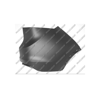 Punta Derecha Paragolpes Trasero-Imprimada