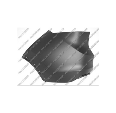 Punta Izquierda Paragolpes Trasero-Imprimada