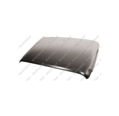 Capo Delantero Jeep Wrangler 2006->