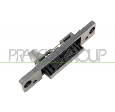 PALANCA PORTON TRASERO NEGRA