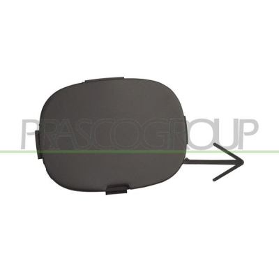 TAPAGANCHO DELANTERO