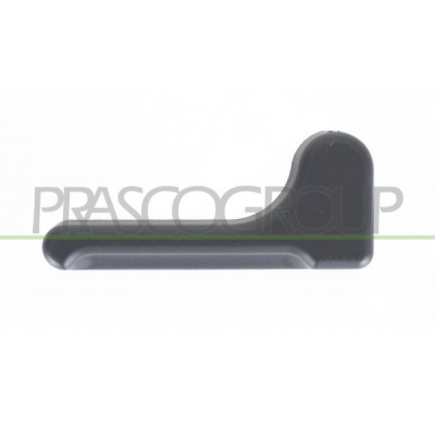 PALANCA PORTON TRASERO-NEGRA