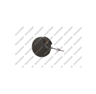 Tapagancho Delantero