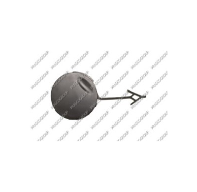 Tapagancho Delantero