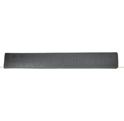 MOLDURA LATERAL INFERIOR IMPRIMADA-PUERTA TRASERA IZQUIERDA