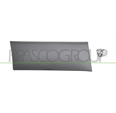 MOLDURA LATERAL INFERIOR IMPRIMADA-ALETA TRASERA DERECHA MOD. PASO LARGO