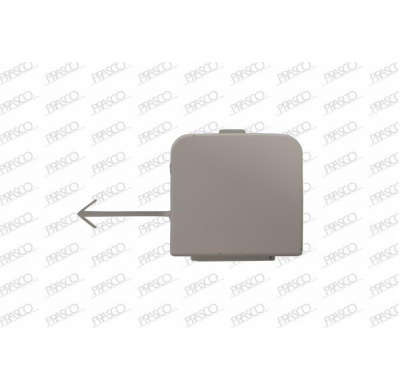 Tapagancho Delantero Imprimado