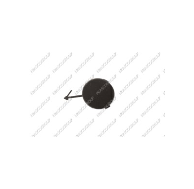 Tapagancho Delantero Imprimado