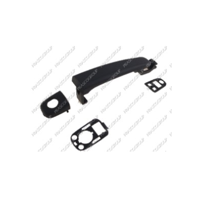 Maneta Exterior Delantera Izquierda Con Imprimacion-Sin Llave Peugeot 307 2005->