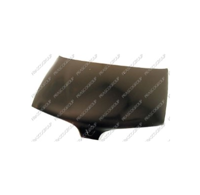 Renault Scenic 96-*Capo