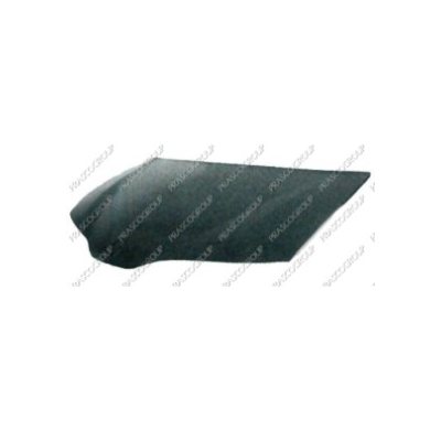 Renault Laguna 00-*Capo