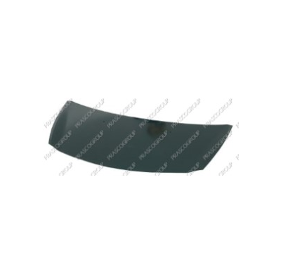 Renault Clio 05-*Capo