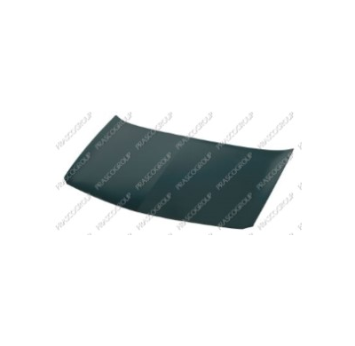 Renault Megane 02-*Capo