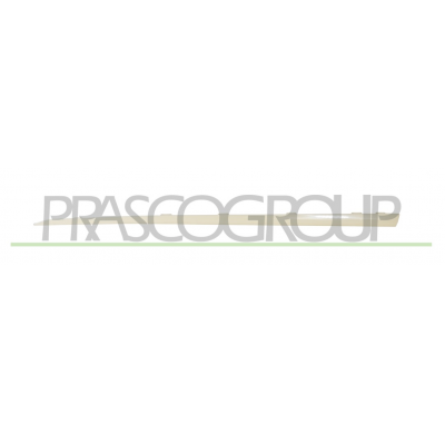 MOLDURA PUERTA DELANTERA IZQUIERDA ABS