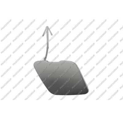 Tapagancho Delantero Imprimado