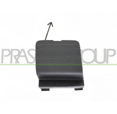 TAPAGANCHO DELANTERO