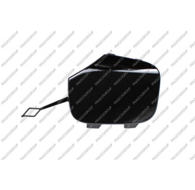 TAPAGANCHO DELANTERO-NEGRO/BRILLANTE