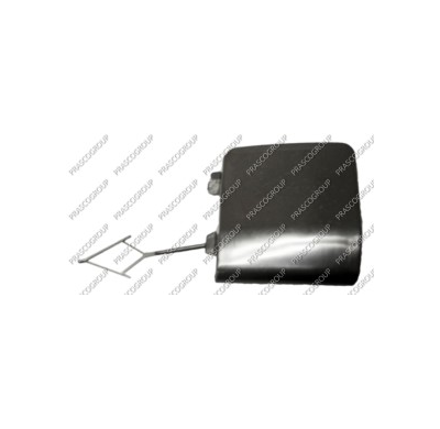 Tapagancho Delantero